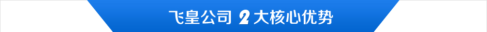 飞皇公司2大核心优势